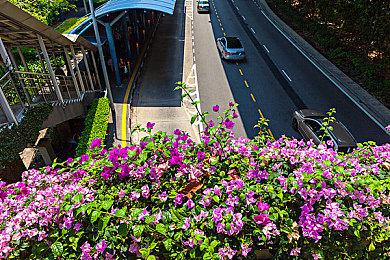 《堕落之主》官方承诺改进 回归传统男＆女性别选项